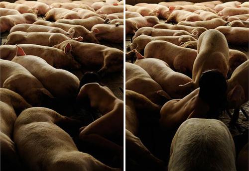 微信牛牛 性生活前，一定要做好这些准备-希音跨境出海Sheinify - 外贸独立站建站运营一站式平台