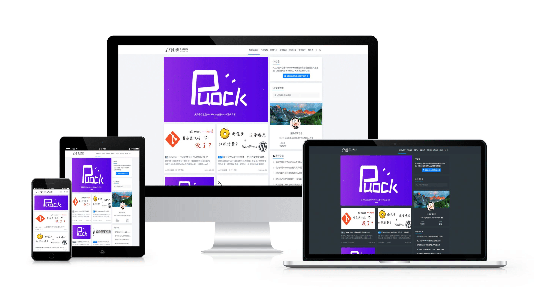 一款基于WordPress开发的高颜值的自适应主题，支持白天与黑夜模式v2.8.2-希音跨境出海Sheinify - 外贸独立站建站运营一站式平台